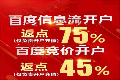 行业内的SEM竞价策略与效果对比案例